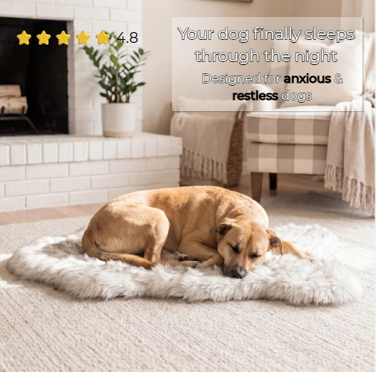 orthopedic dog bed