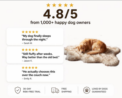 orthopedic dog bed